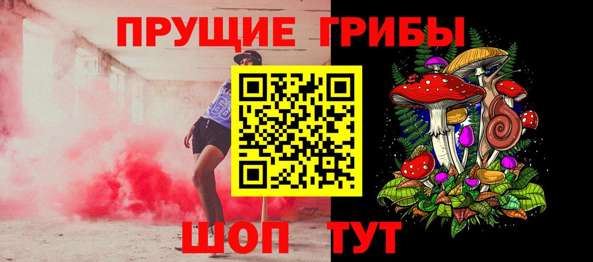 Тимашёвск  Галлюциногенные грибы Psilocybine cubensis  Вход с VPN  Псилоцибиновые грибы GOLDEN TEACHER 