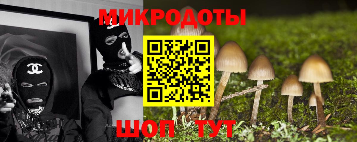 Галлюциногенные грибы Magic Shrooms Тимашёвск
